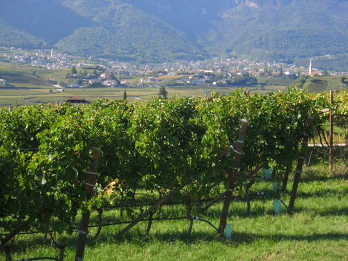 San Giuseppe al Lago .